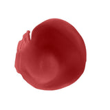 Labial Larga Duración Superstay 24 H 5 Everlasting Wine